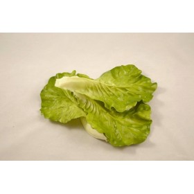 Lettuce Leaf (set of 6)